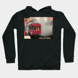 Puffing Along Hoodie
